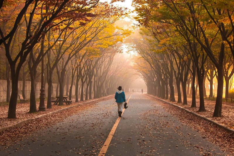 Road to Personal Growth